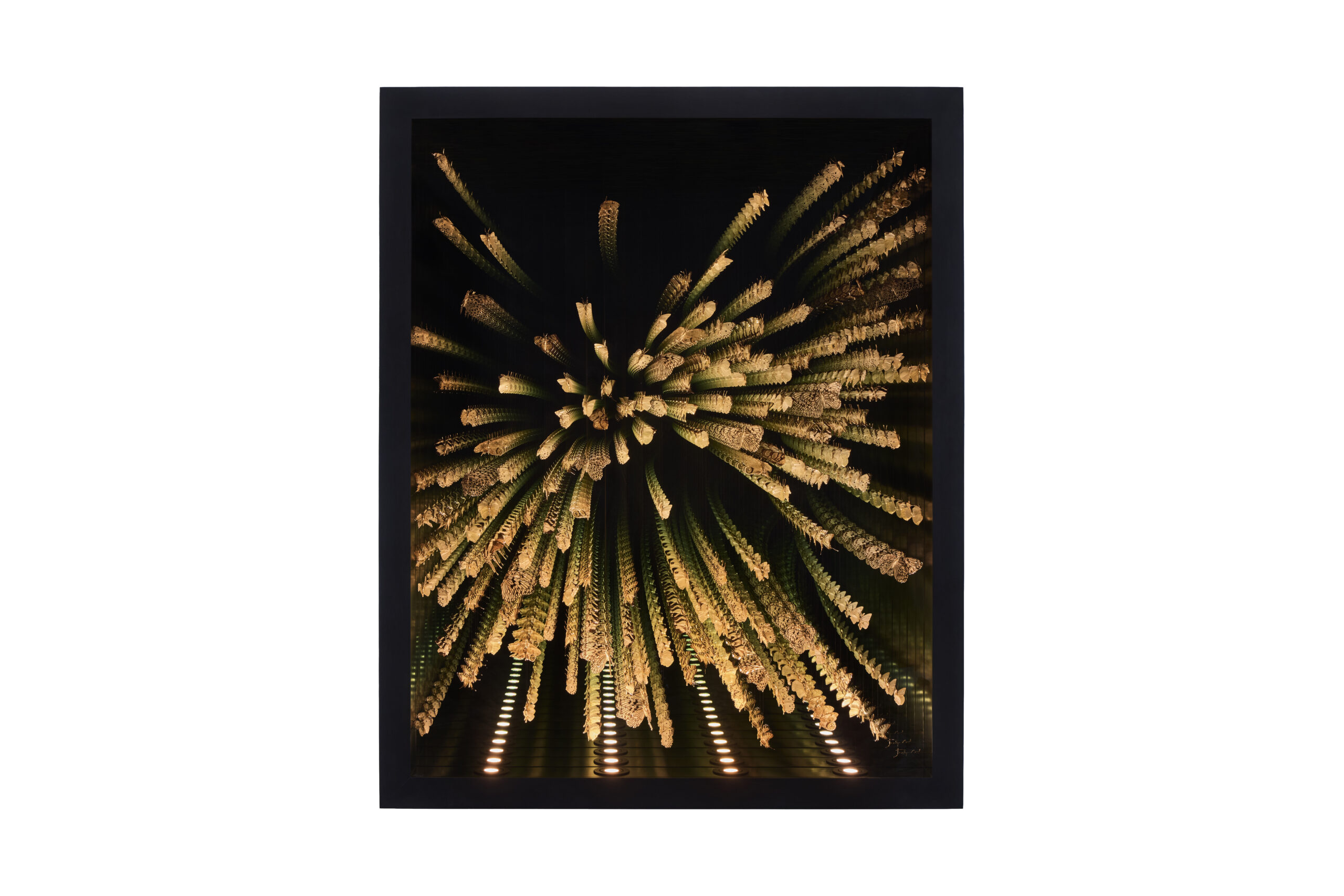 Kaleidoscope