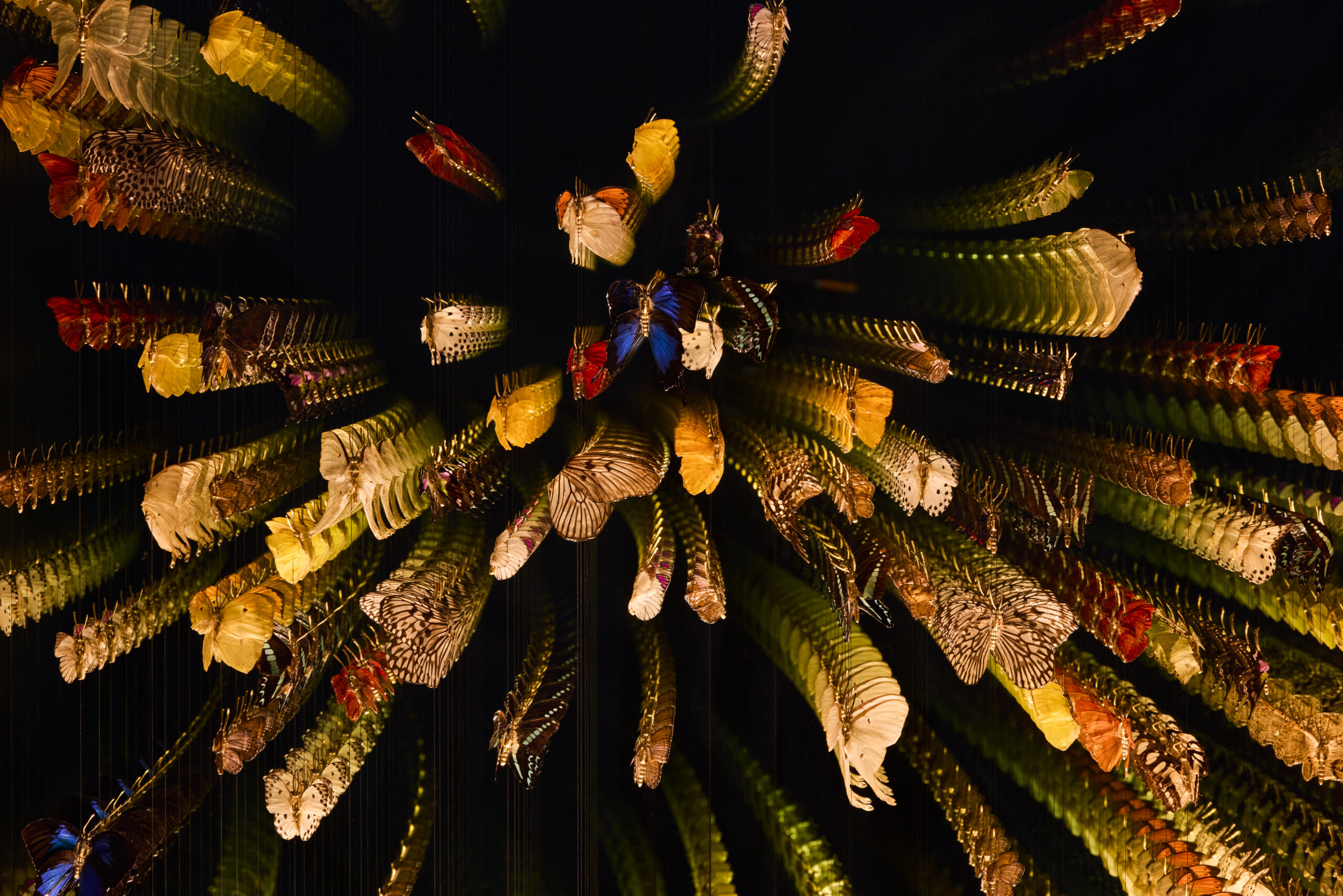 Kaleidoscope