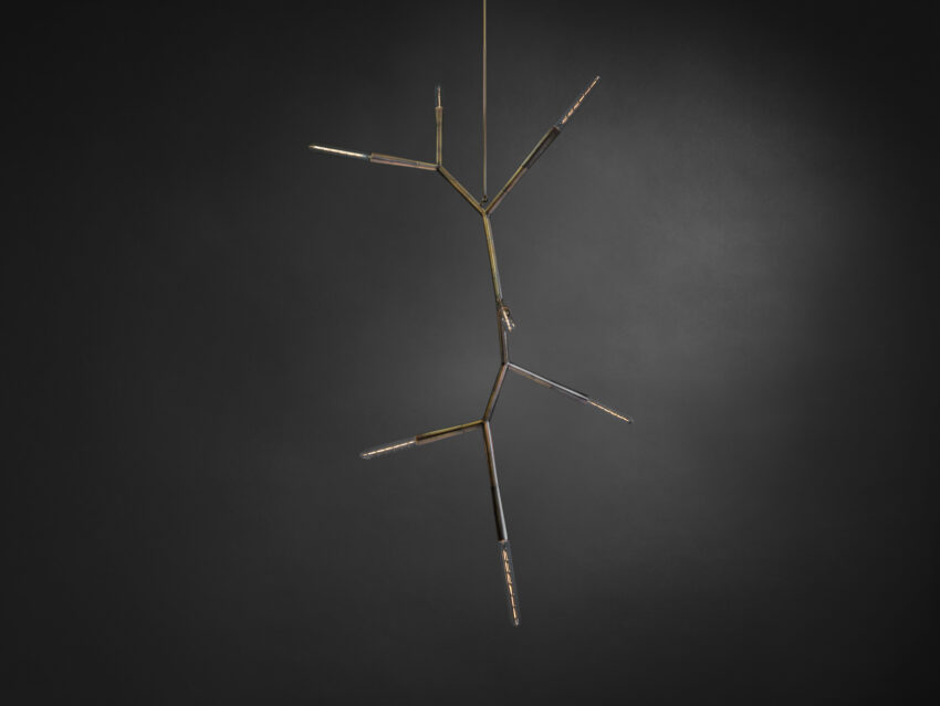 Phasmida