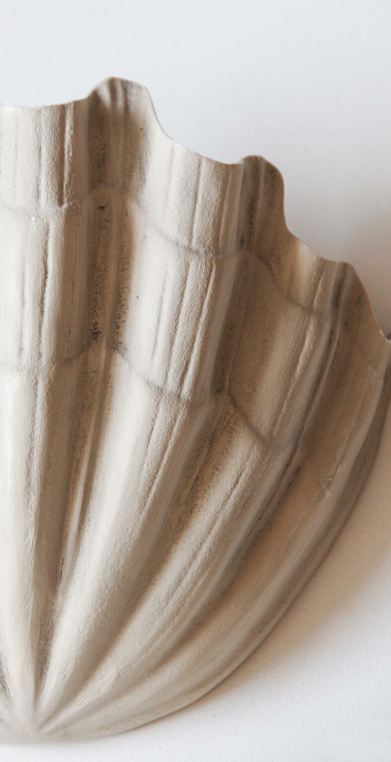 Shell Uplighters Plaster Shell Uplighter - R HUGHES