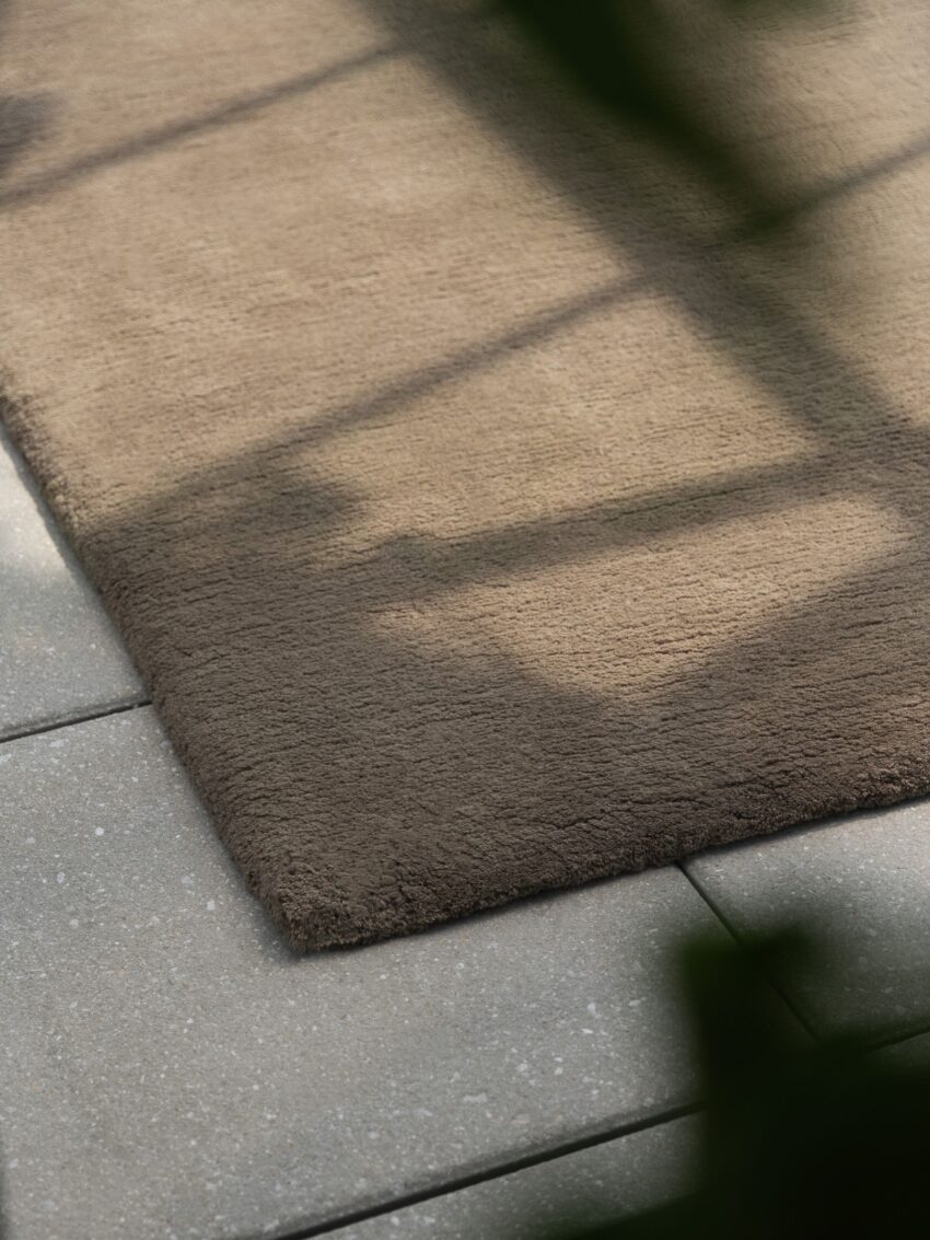 Moss – Cognac