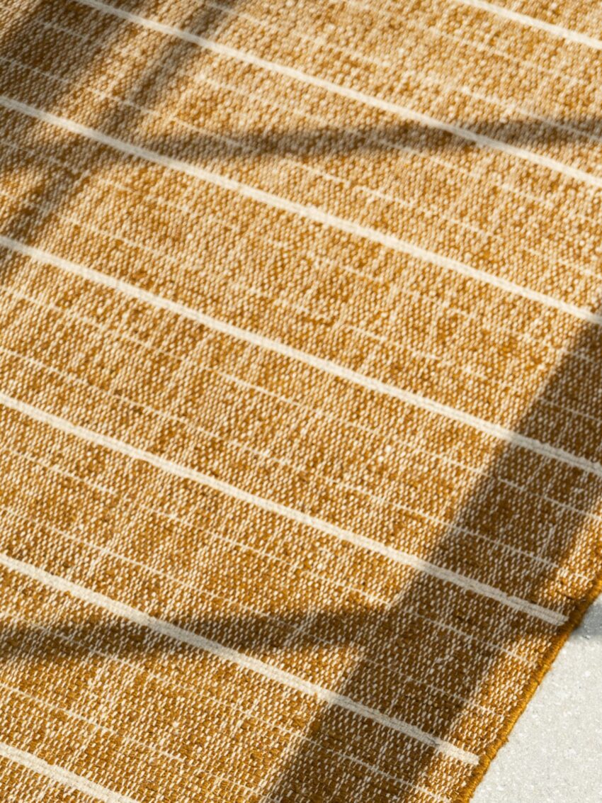 Canvas II – Cognac