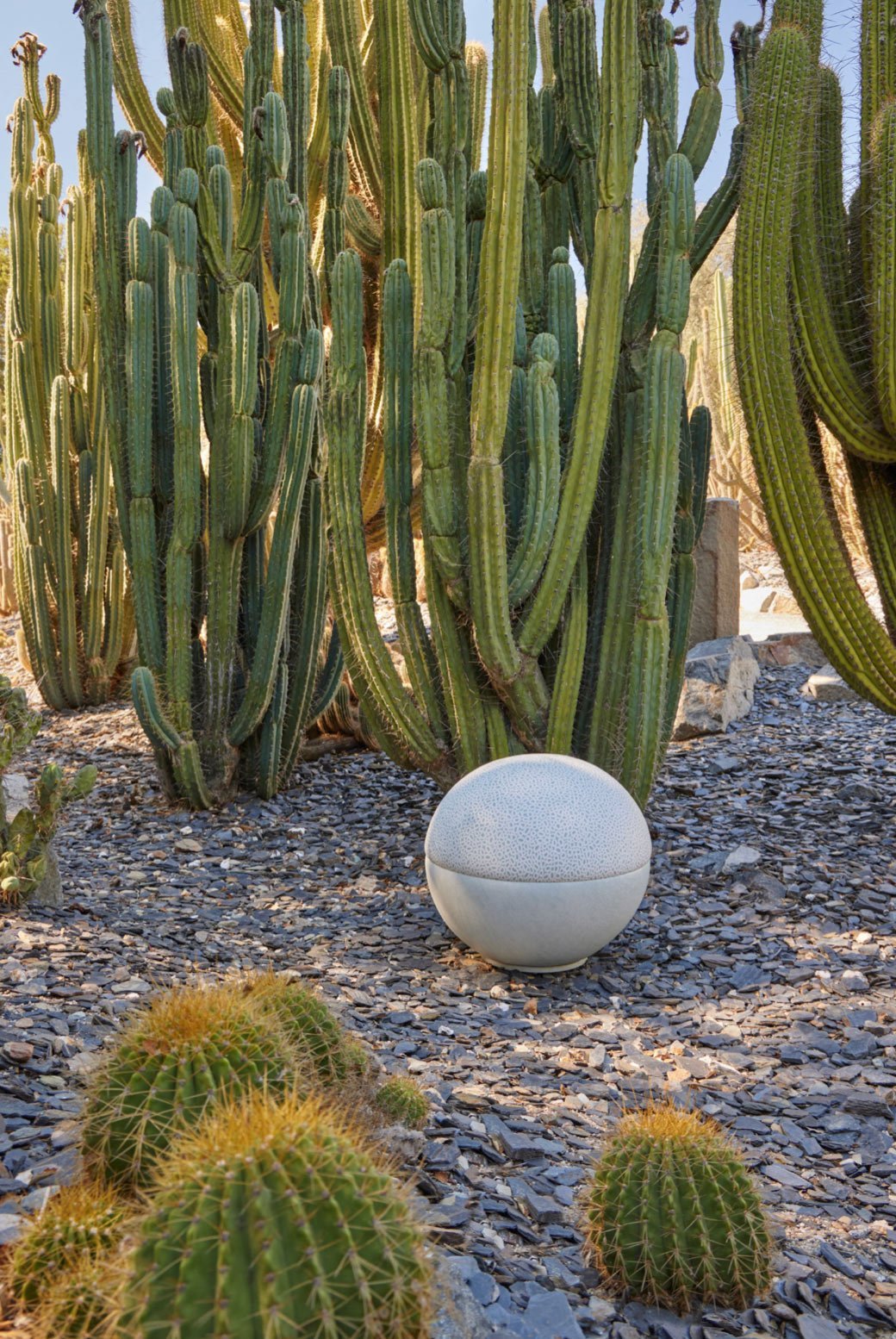 NATASHA'S CANVAS in SKY